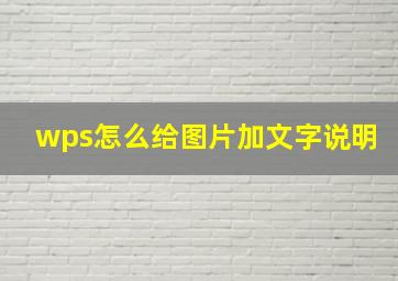 wps怎么给图片加文字说明