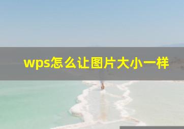 wps怎么让图片大小一样