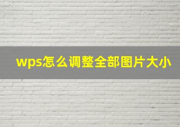 wps怎么调整全部图片大小