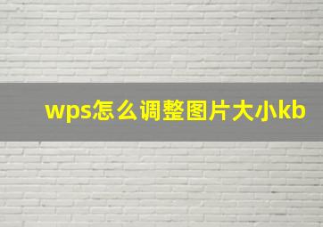 wps怎么调整图片大小kb