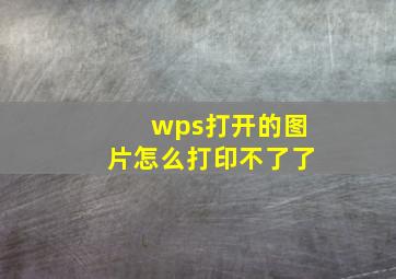 wps打开的图片怎么打印不了了