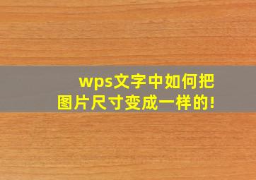 wps文字中如何把图片尺寸变成一样的!