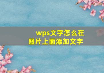 wps文字怎么在图片上面添加文字