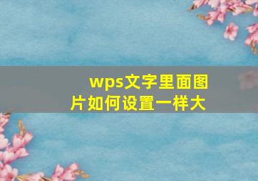 wps文字里面图片如何设置一样大