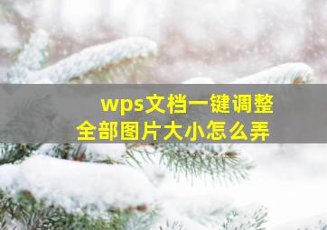 wps文档一键调整全部图片大小怎么弄