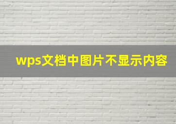 wps文档中图片不显示内容