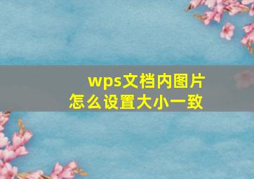 wps文档内图片怎么设置大小一致