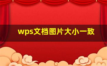 wps文档图片大小一致