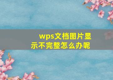 wps文档图片显示不完整怎么办呢