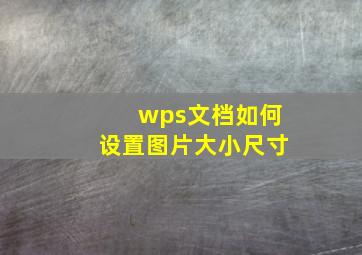 wps文档如何设置图片大小尺寸