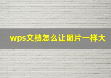 wps文档怎么让图片一样大