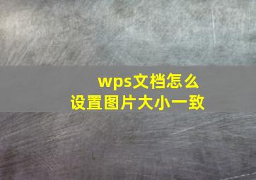 wps文档怎么设置图片大小一致