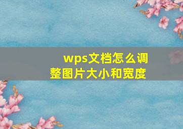 wps文档怎么调整图片大小和宽度