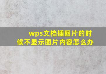 wps文档插图片的时候不显示图片内容怎么办