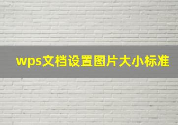 wps文档设置图片大小标准