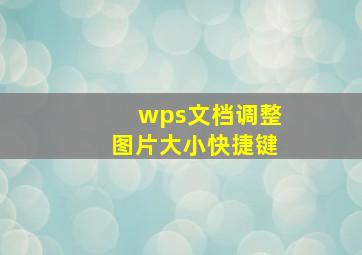 wps文档调整图片大小快捷键