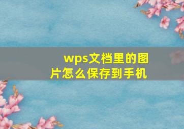 wps文档里的图片怎么保存到手机