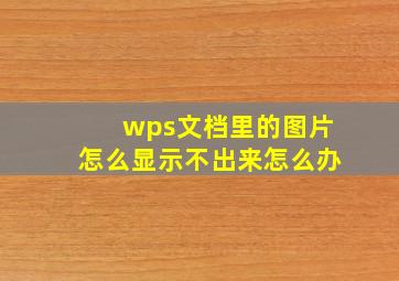 wps文档里的图片怎么显示不出来怎么办