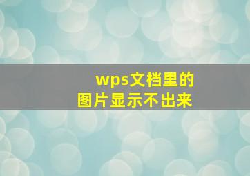 wps文档里的图片显示不出来