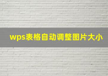 wps表格自动调整图片大小