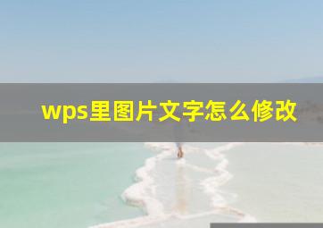 wps里图片文字怎么修改