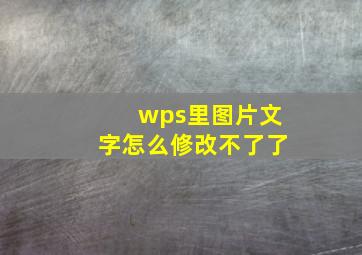 wps里图片文字怎么修改不了了