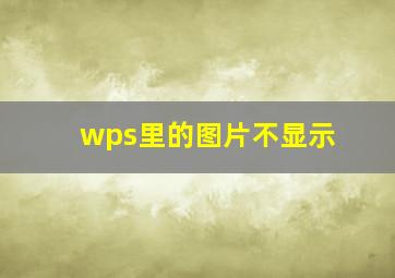 wps里的图片不显示