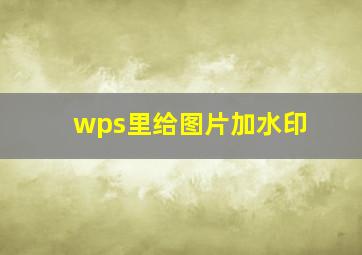 wps里给图片加水印