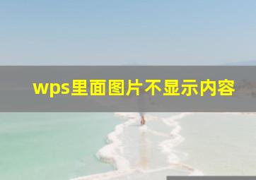 wps里面图片不显示内容