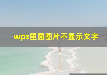 wps里面图片不显示文字