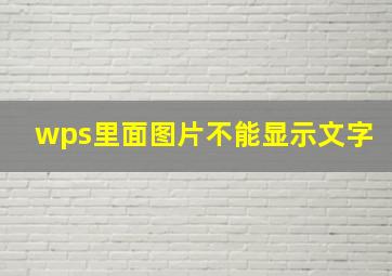 wps里面图片不能显示文字