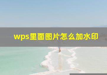 wps里面图片怎么加水印