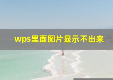 wps里面图片显示不出来