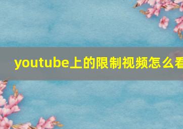 youtube上的限制视频怎么看