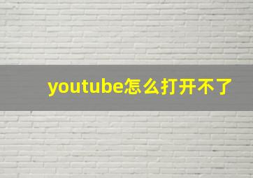 youtube怎么打开不了