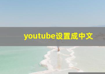 youtube设置成中文