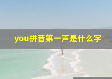 you拼音第一声是什么字