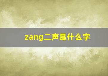 zang二声是什么字