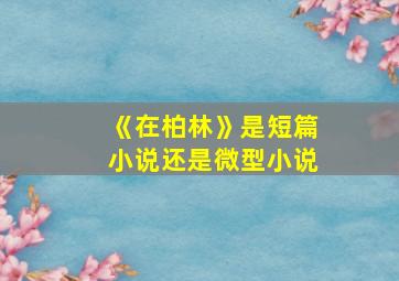 《在柏林》是短篇小说还是微型小说