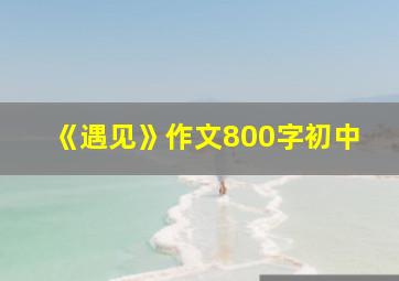 《遇见》作文800字初中