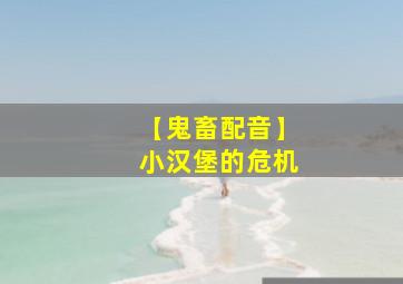 【鬼畜配音】小汉堡的危机