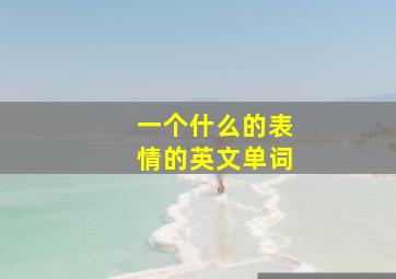 一个什么的表情的英文单词