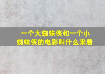 一个大蜘蛛侠和一个小蜘蛛侠的电影叫什么来着