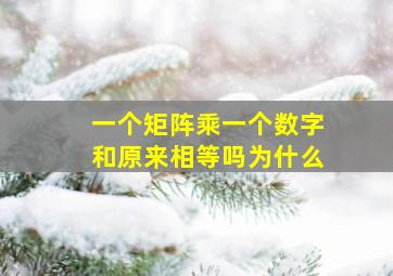 一个矩阵乘一个数字和原来相等吗为什么