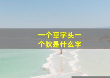 一个草字头一个狄是什么字