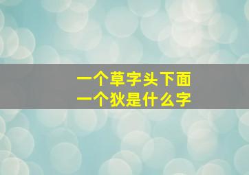 一个草字头下面一个狄是什么字