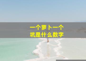 一个萝卜一个坑是什么数字