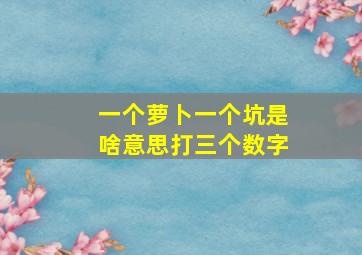 一个萝卜一个坑是啥意思打三个数字