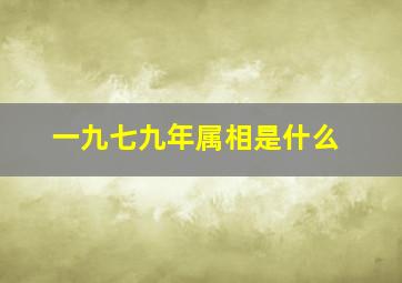 一九七九年属相是什么