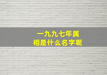 一九九七年属相是什么名字呢